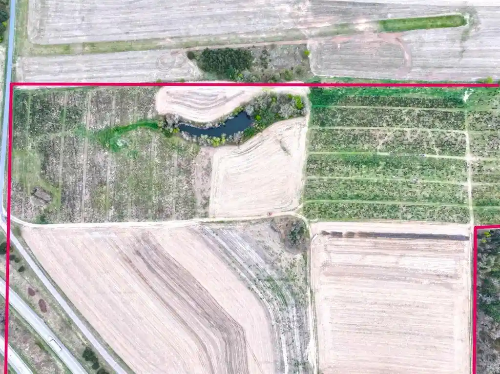Homes for sale in Hixton, WI | 74 Acres Sand Prairie Rd, Hixton, WI 54635 | MLS# 1600885