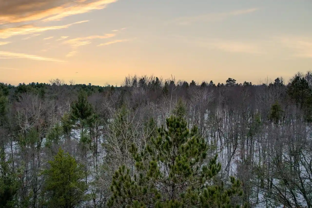 Homes for sale in Crivitz, WI | Lot 26 Deepwoods Trail Trail, Crivitz, WI 54114 | MLS# 1961331