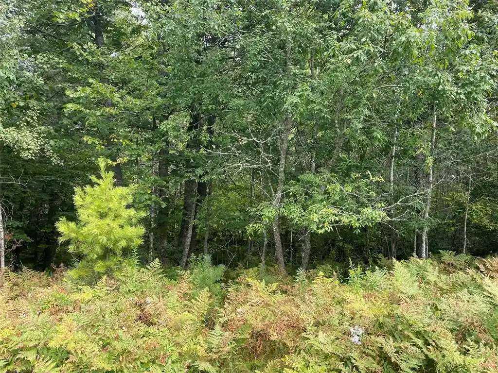 Homes for sale in Hayward, WI | Lot 8 Hermosa Lane Lane, Hayward, WI 54843 | MLS# 1600910