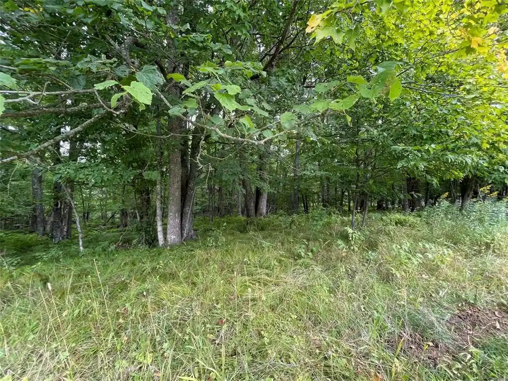 Homes for sale in Hayward, WI | Lot 9 Hermosa Lane Lane, Hayward, WI 54843 | MLS# 1600925