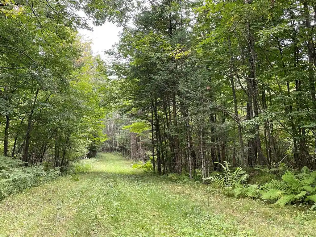 Homes for sale in Hayward, WI | Lot 9 Hermosa Lane Lane, Hayward, WI 54843 | MLS# 1600925