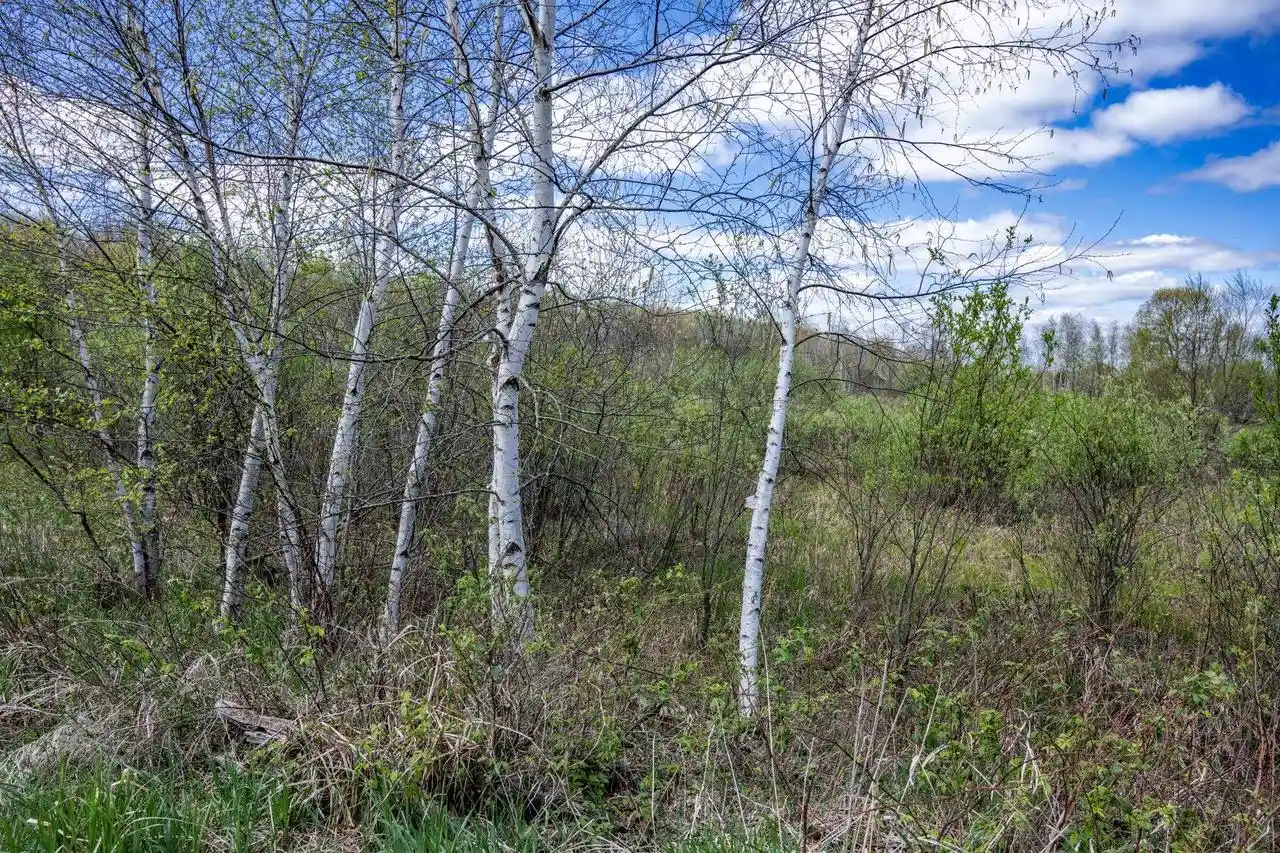 Homes for sale in Necedah, WI | 70 Acres 22nd Street Street, Necedah, WI 54646 | MLS# 2022773