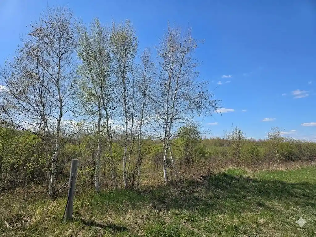 Homes for sale in Necedah, WI | 70 Acres 22Nd Street Street, Necedah, WI 54646 | MLS# 2022773
