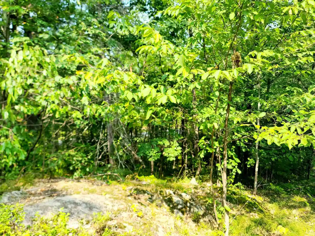 2nd image of W10012 Us Hwy 8, Dunbar, WI 54119 | MLS# 50325122