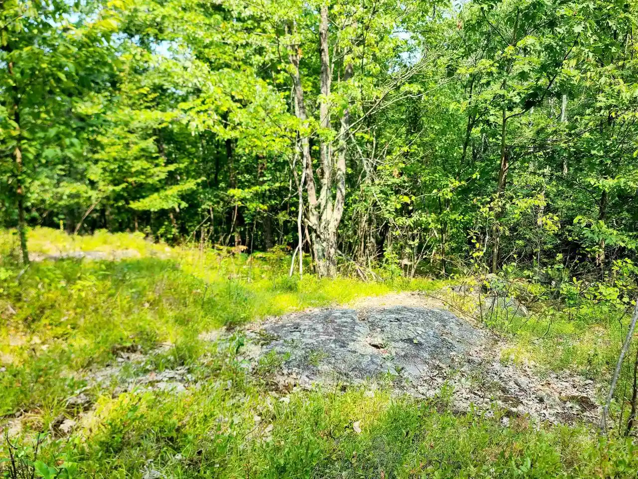 4th image of W10012 Us Hwy 8, Dunbar, WI 54119 | MLS# 50325122