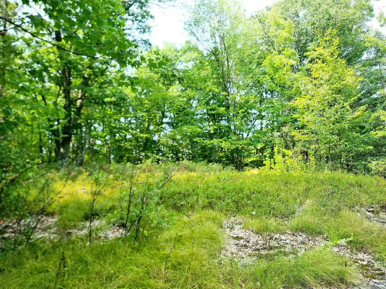 5th image of W10012 Us Hwy 8, Dunbar, WI 54119 | MLS# 50325122