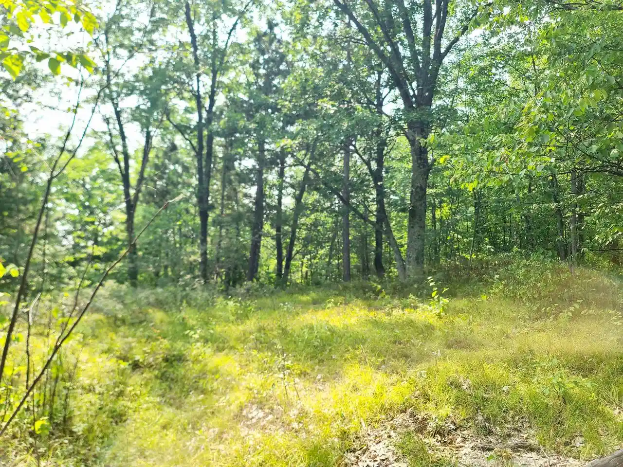 16th image of W10012 Us Hwy 8, Dunbar, WI 54119 | MLS# 50325122