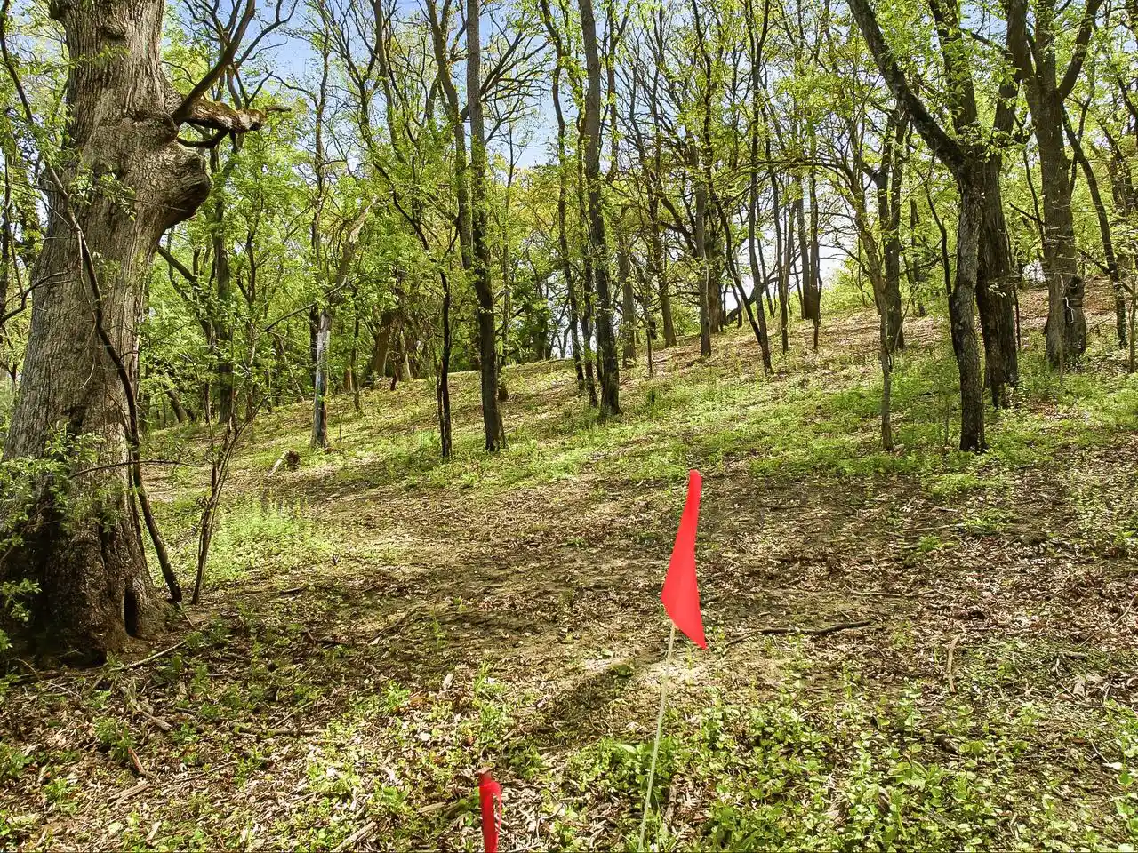 Photo 4 of Land for sale at N4087 County Road A, Cambridge, WI 53523 | MLS# 1961705 | Listing updated on 2026-06-30