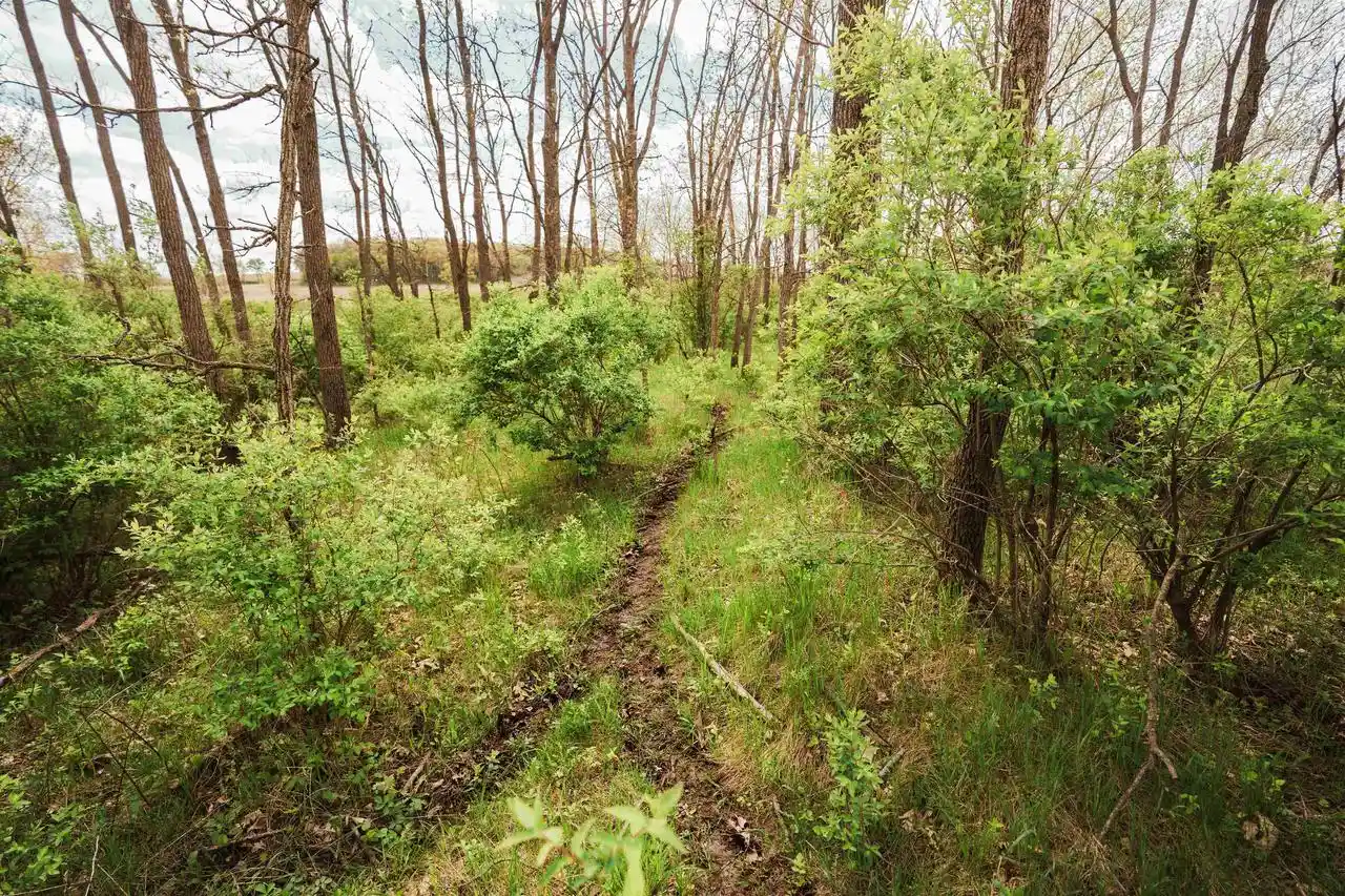 Photo 2 of Land for sale at 74+/  Ac Hwy 73 Acres Acres, Marshall, WI 53559 | MLS# 2022804 | Listing updated on 2026-07-21
