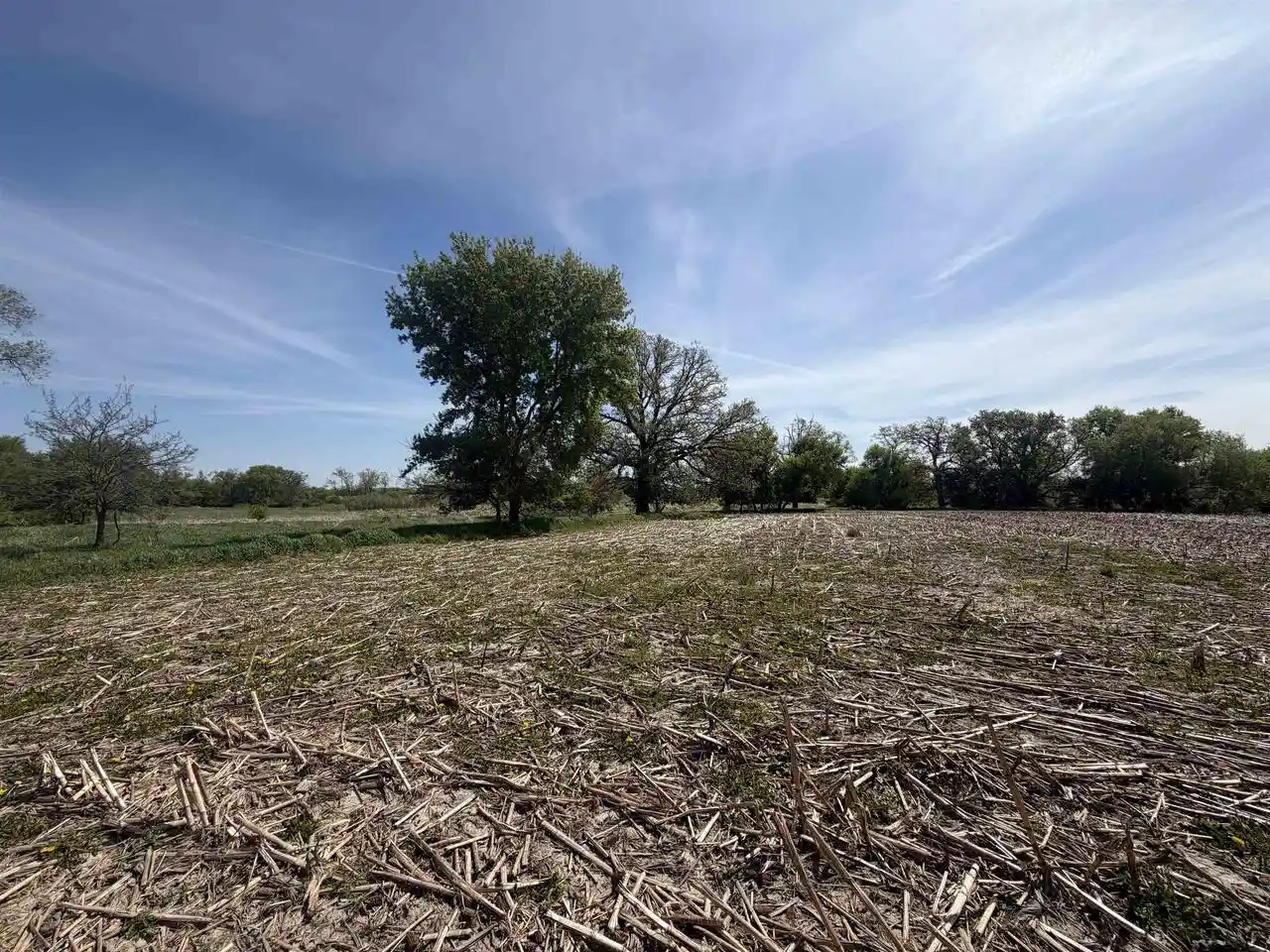 Photo 3 of Land for sale at 74+/  Ac Hwy 73 Acres Acres, Marshall, WI 53559 | MLS# 2022804 | Listing updated on 2026-07-21