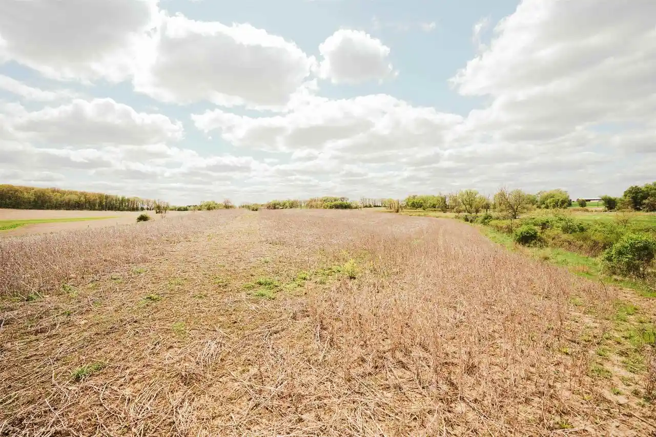 Photo 4 of Land for sale at 74+/- Ac Hwy 73 Acres Acres, Marshall, WI 53559 | MLS# 2022804 | Listing updated on 2026-07-21