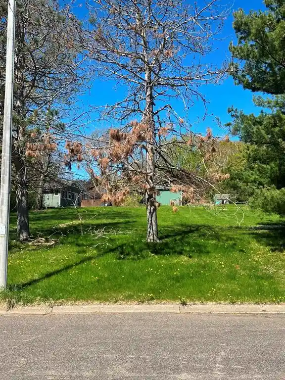 3rd image of Lot 5 Havel Road Road, Rice Lake, WI 54868 | MLS# 1601062
