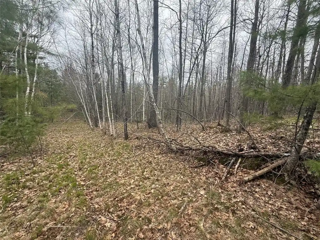 16th image of 33 Acres Partridge Lane Lane, Hayward, WI 54843 | MLS# 1601080