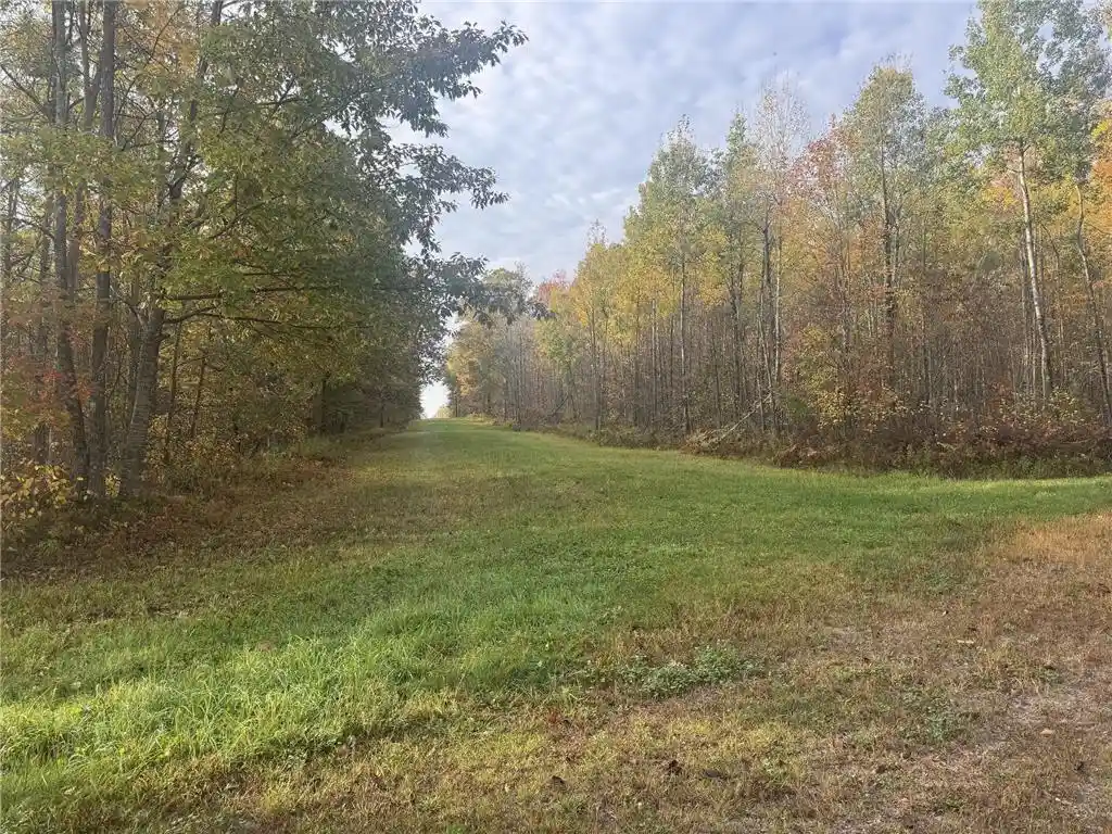 Photo 2 of Land for sale at Tbd N State Road 40, Exeland, WI 54835 | MLS# 7072803 | Listing updated on 2026-05-27