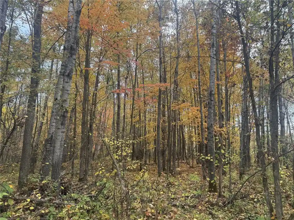 Photo 3 of Land for sale at Tbd N State Rd 40, Exeland, WI 54835 | MLS# 7072803 | Listing updated on 2026-09-29