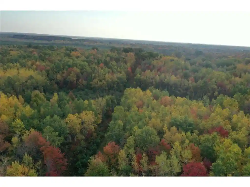 Photo 41 of Land for sale at Tbd N State Road 40, Exeland, WI 54835 | MLS# 7072803 | Listing updated on 2026-05-27