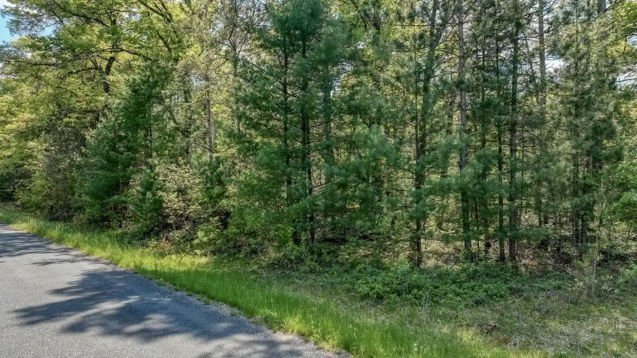 Homes for sale in Willard, WI | 8667 Lakeside Road Road, Willard, WI 54493 | MLS# 22601999