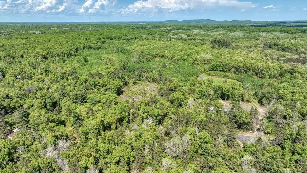 Homes for sale in Willard, WI | 8667 Lakeside Road Road, Willard, WI 54493 | MLS# 22601999