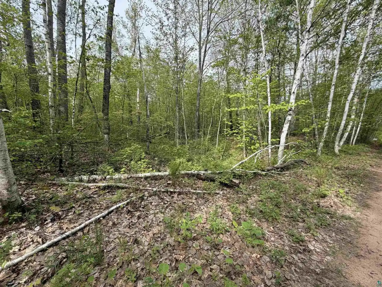 Photo 3 of Land for sale at Lot 3 Peterson Rd Rd, Minong, WI 54859 | MLS# 6125209 | Listing updated on 2026-09-17