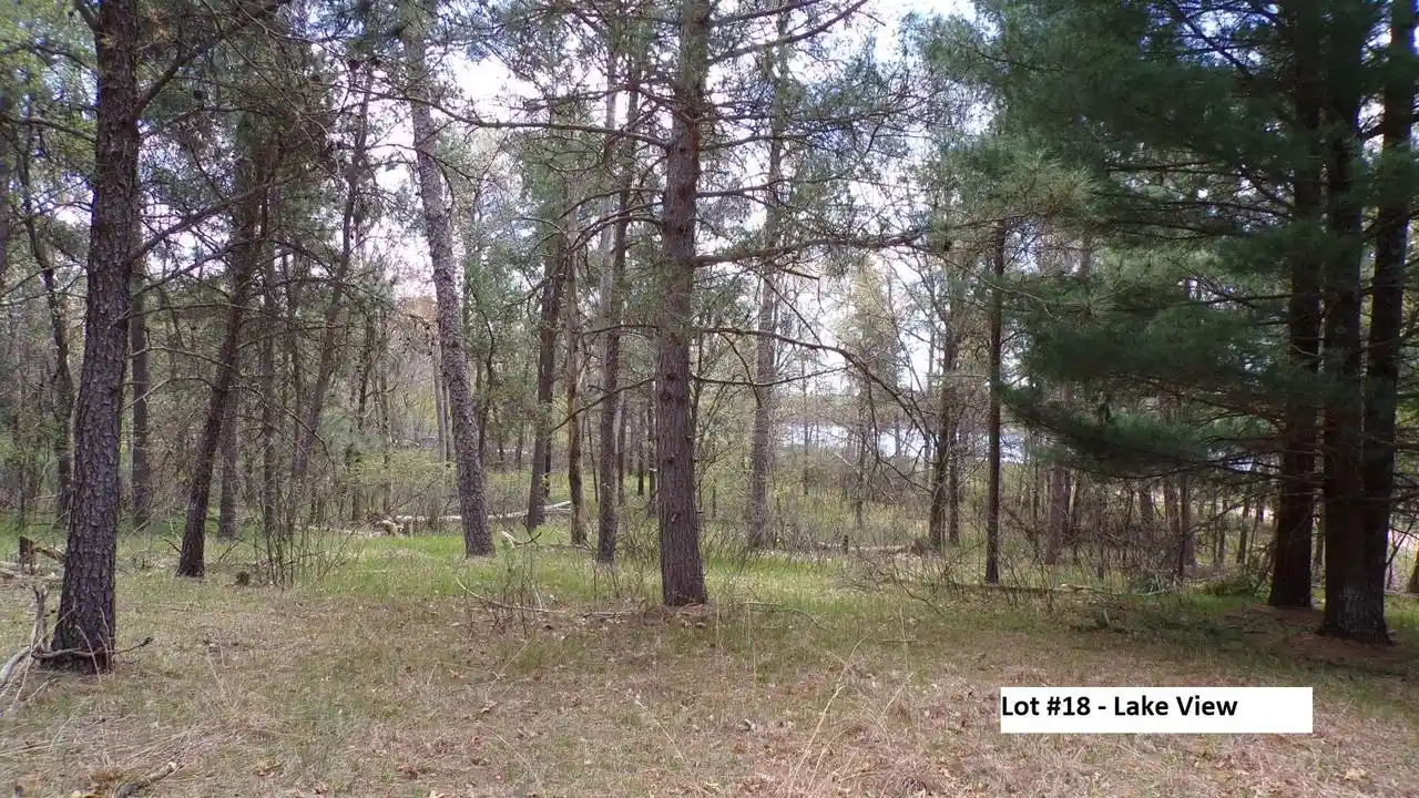 Homes for sale in Nekoosa, WI | 864 Sheffield Court Court, Nekoosa, WI 54457 | MLS# 2023229