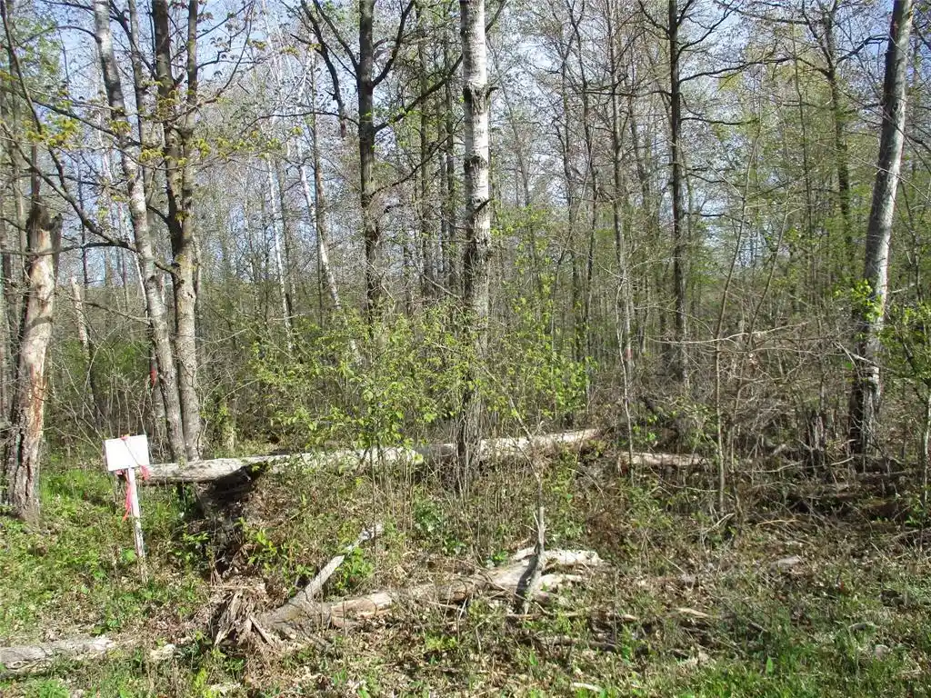 Homes for sale in Birchwood, WI | Lot #24 28 1/8 Avenue Avenue, Birchwood, WI 54817 | MLS# 1601156