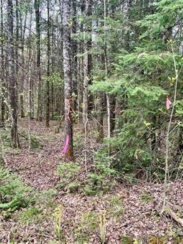 3rd image of W7793 Bergeson Lane Lane, Amberg, WI 54102 | MLS# 50325466