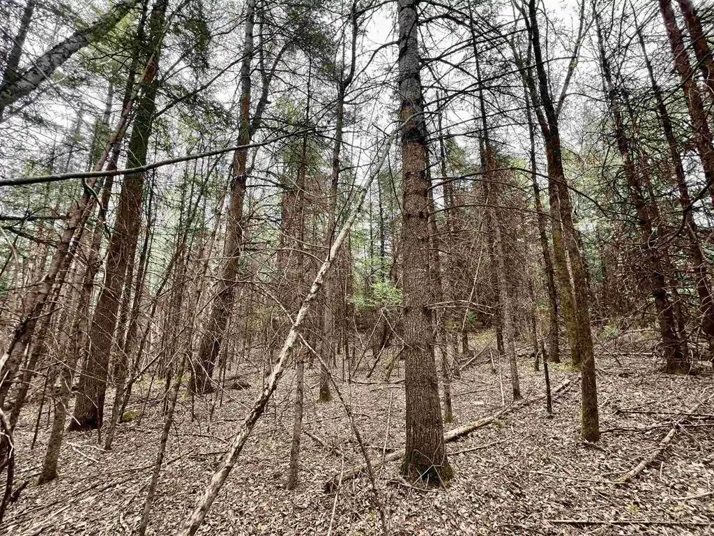 4th image of W7793 Bergeson Lane Lane, Amberg, WI 54102 | MLS# 50325466