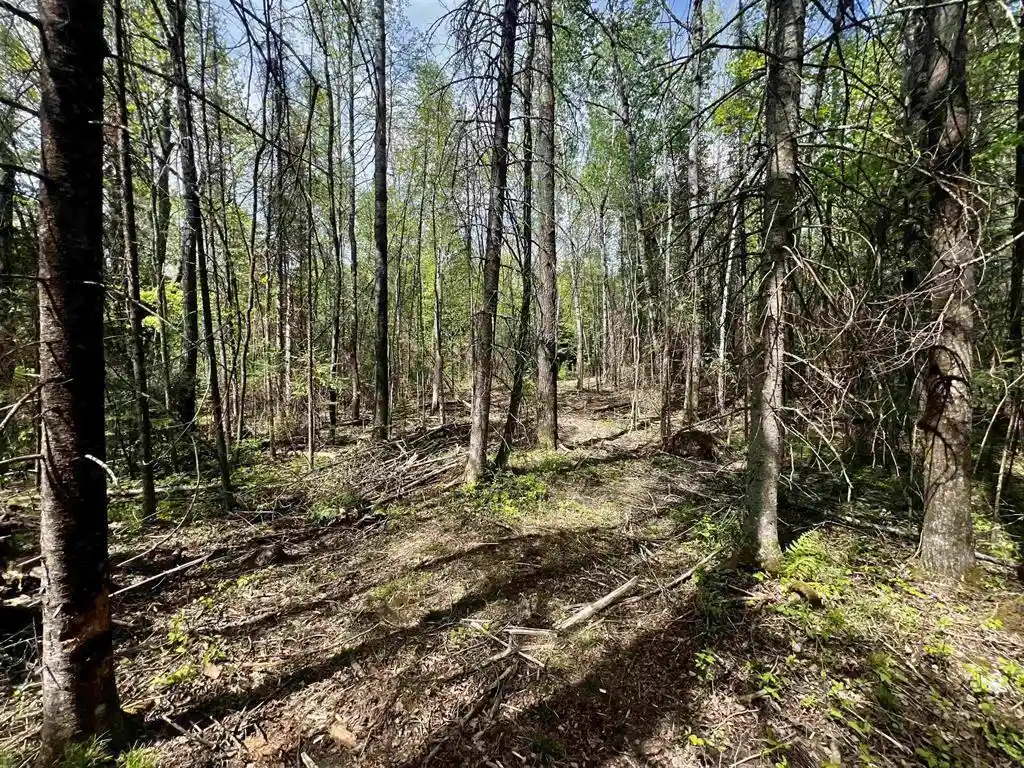 5th image of W7793 Bergeson Lane Lane, Amberg, WI 54102 | MLS# 50325466
