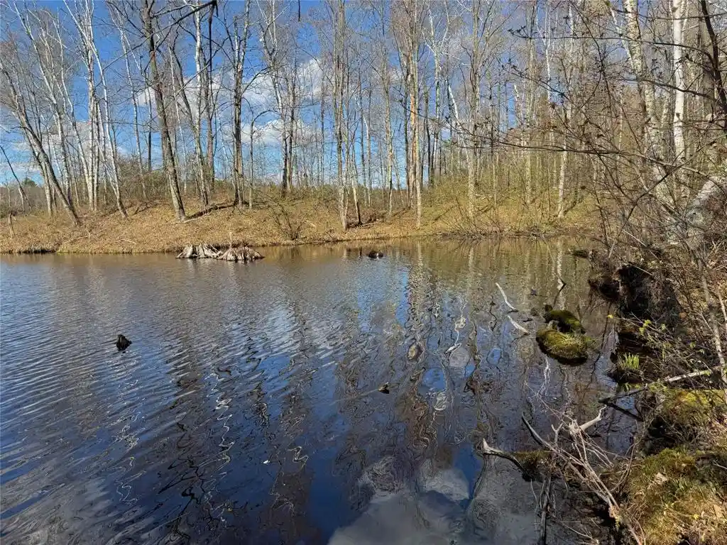 5th image of Lots 1-2 Trapper Trail Trail, Hayward, WI 54843 | MLS# 1601110
