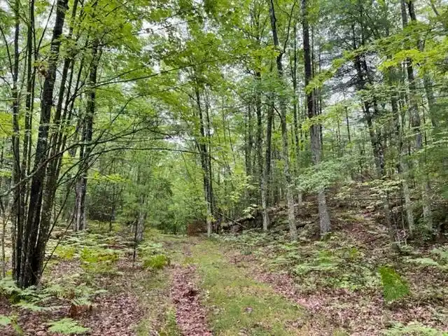 Homes for sale in Pembine, WI | County Rd Oo, Pembine, WI 54156 | MLS# 50325598