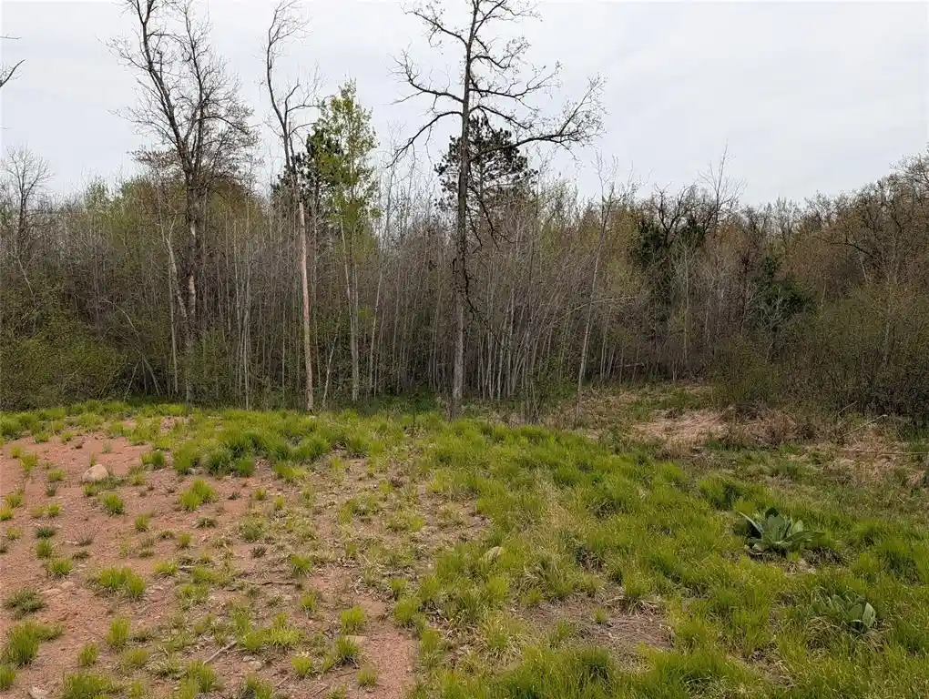 Homes for sale in Bloomer, WI | 15573 Hwy 64, Bloomer, WI 54724 | MLS# 1601231