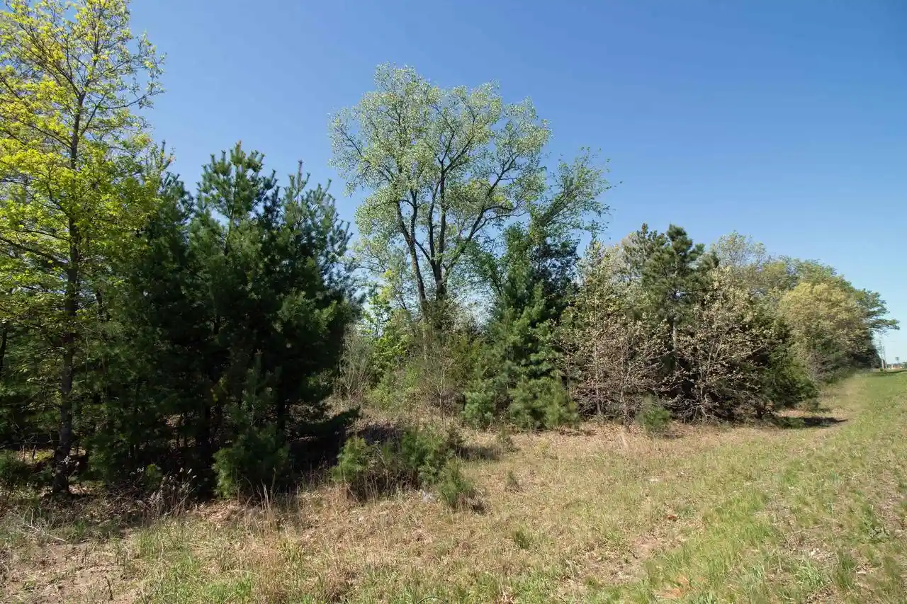 Homes for sale in Spring Green, WI | Lot20 Timber Trail Trail, Spring Green, WI 53588 | MLS# 2023506