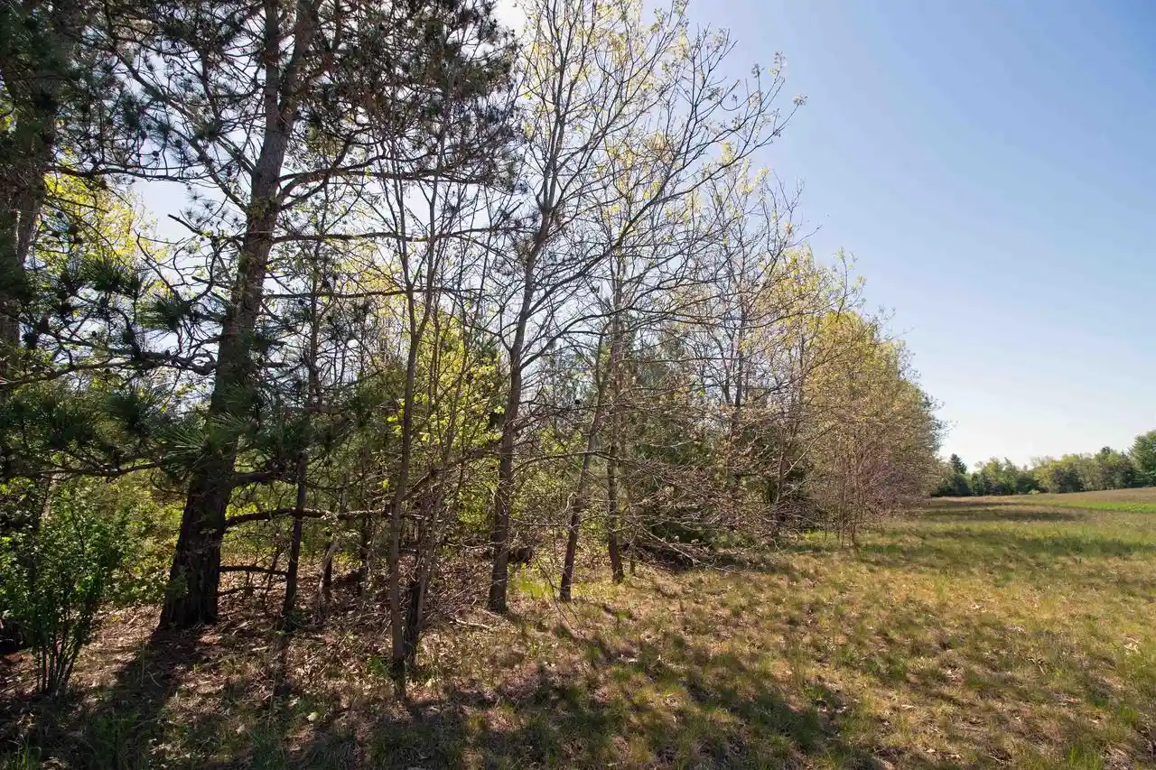 Homes for sale in Spring Green, WI | Lot20 Timber Trail Trail, Spring Green, WI 53588 | MLS# 2023506