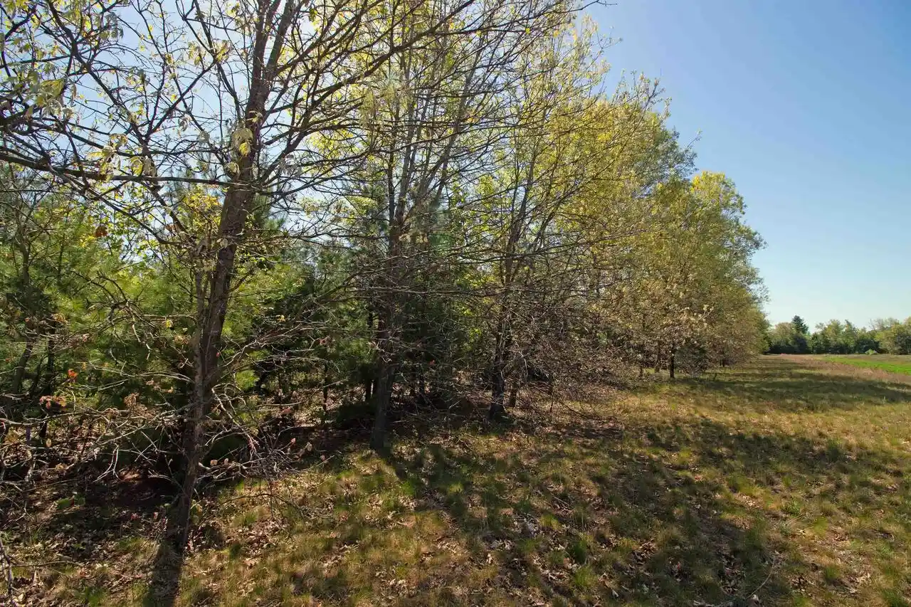 Homes for sale in Spring Green, WI | Lot20 Timber Trail Trail, Spring Green, WI 53588 | MLS# 2023506