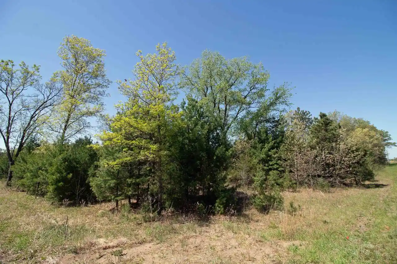 Homes for sale in Spring Green, WI | Lot20 Timber Trail Trail, Spring Green, WI 53588 | MLS# 2023506