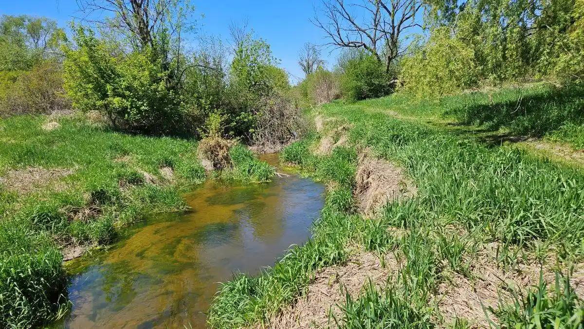 52nd image of W5090 Navan Road Road, Watertown, WI 53094 | MLS# 1962942