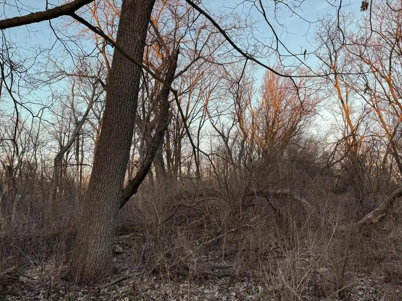 Photo 3 of Land for sale at Lot 1 S Afton Road Road, Beloit, WI 53511 | MLS# 2023543 | Listing updated on 2026-08-13