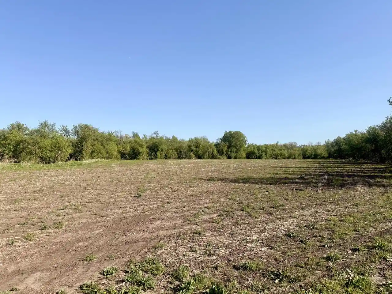 Homes for sale in Taylor, WI | W16875 State Hwy 95, Taylor, WI 54659 | MLS# 1962995