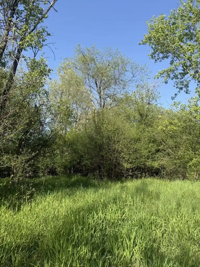 Homes for sale in Taylor, WI | W16875 State Hwy 95, Taylor, WI 54659 | MLS# 1962995