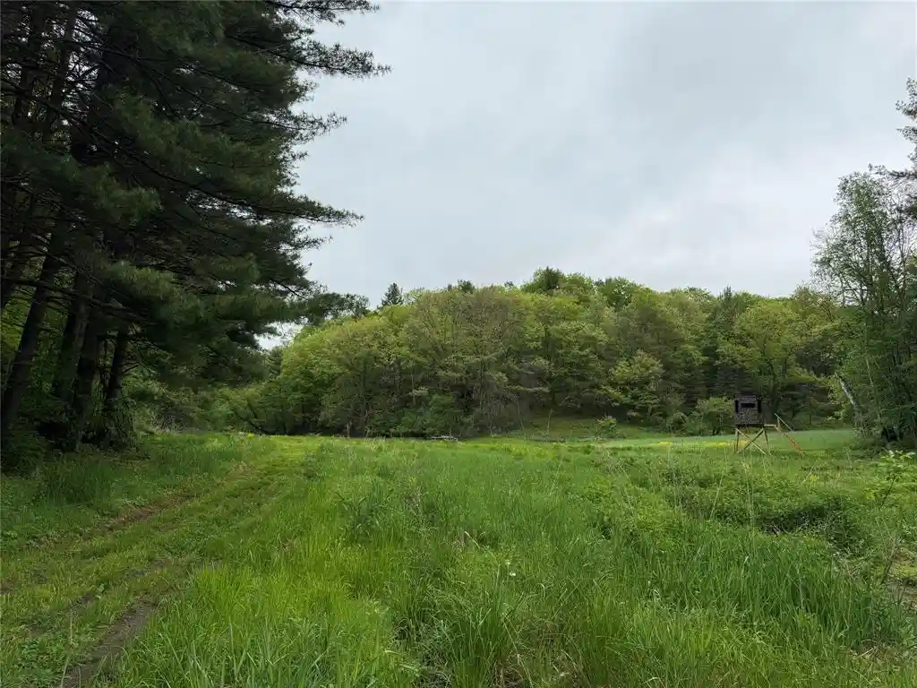 Homes for sale in Arcadia, WI | Xxx County Rd T, Arcadia, WI 54612 | MLS# 1601333