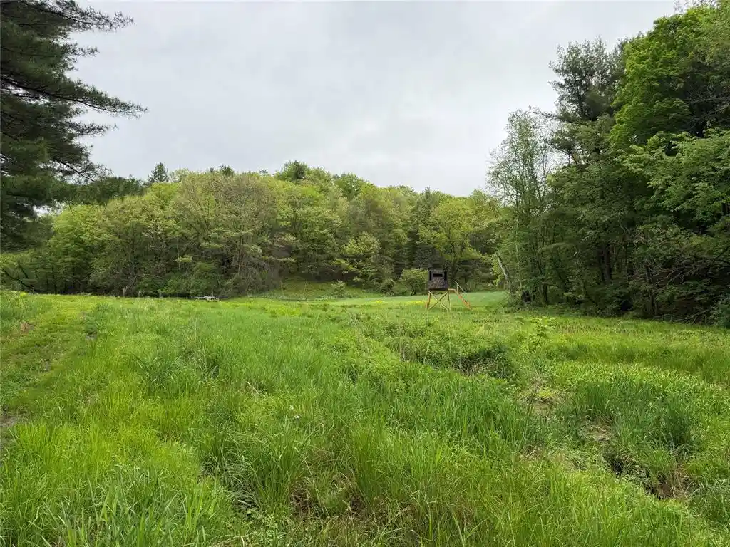 Homes for sale in Arcadia, WI | Xxx County Rd T, Arcadia, WI 54612 | MLS# 1601333