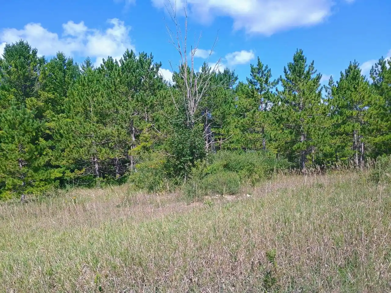 Homes for sale in West Bend, WI | Lt1 County Hwy Y, West Bend, WI 53095 | MLS# 1963242