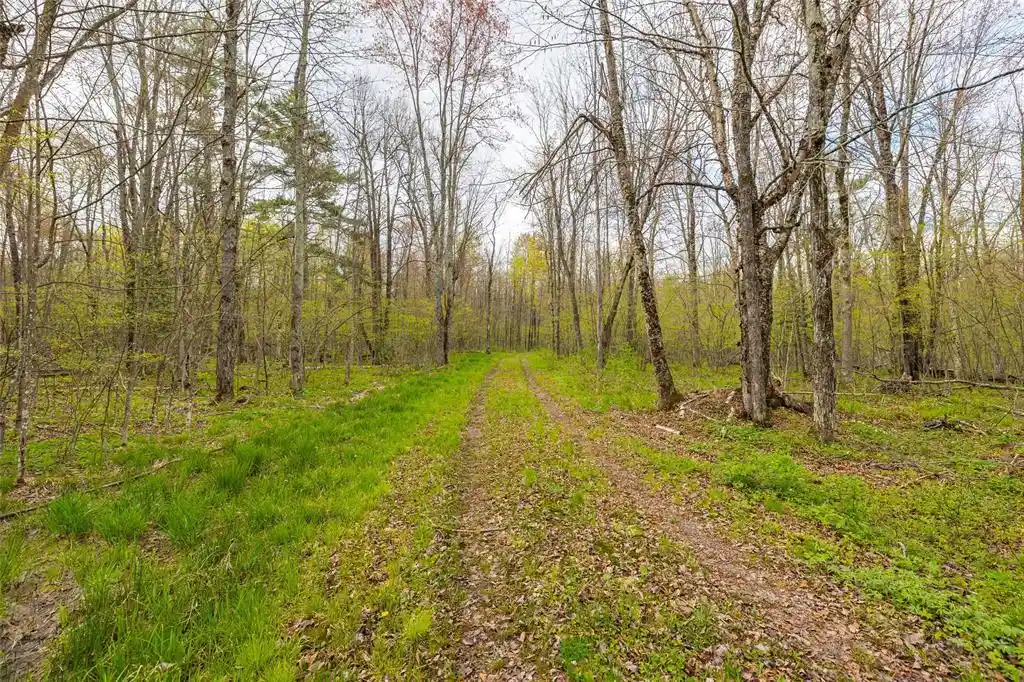 Homes for sale in Winter, WI | 5807 Strom Rd, Winter, WI 54896 | MLS# 1601343
