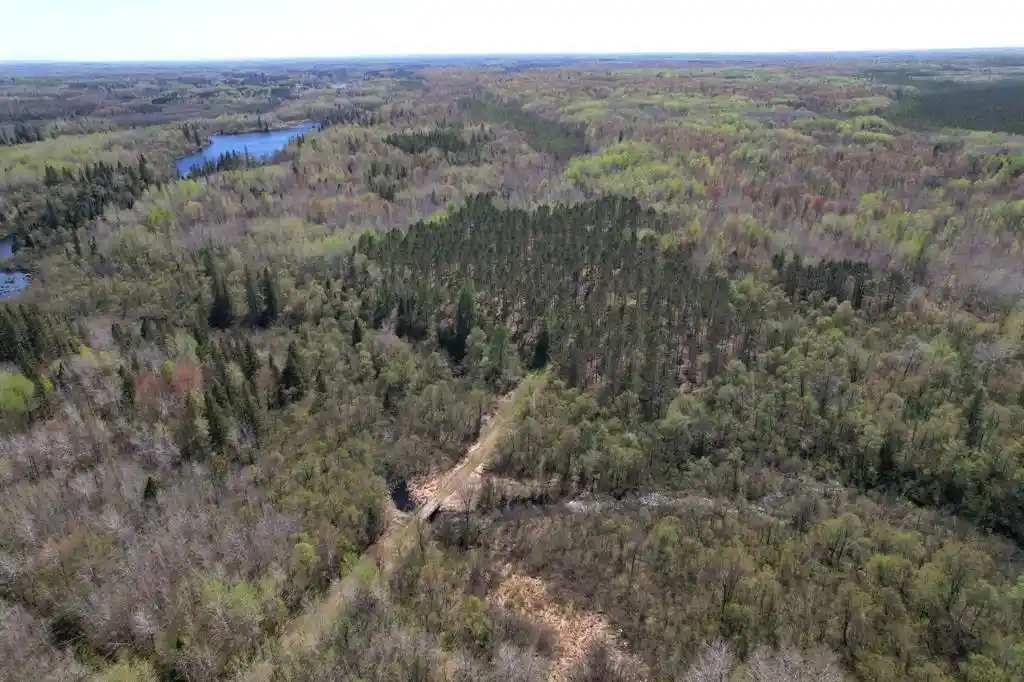 Homes for sale in Prentice, WI | Off Hay Creek Road Road, Prentice, WI 54556 | MLS# 1601325