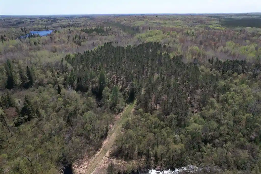 Homes for sale in Prentice, WI | Off Hay Creek Road Road, Prentice, WI 54556 | MLS# 1601325