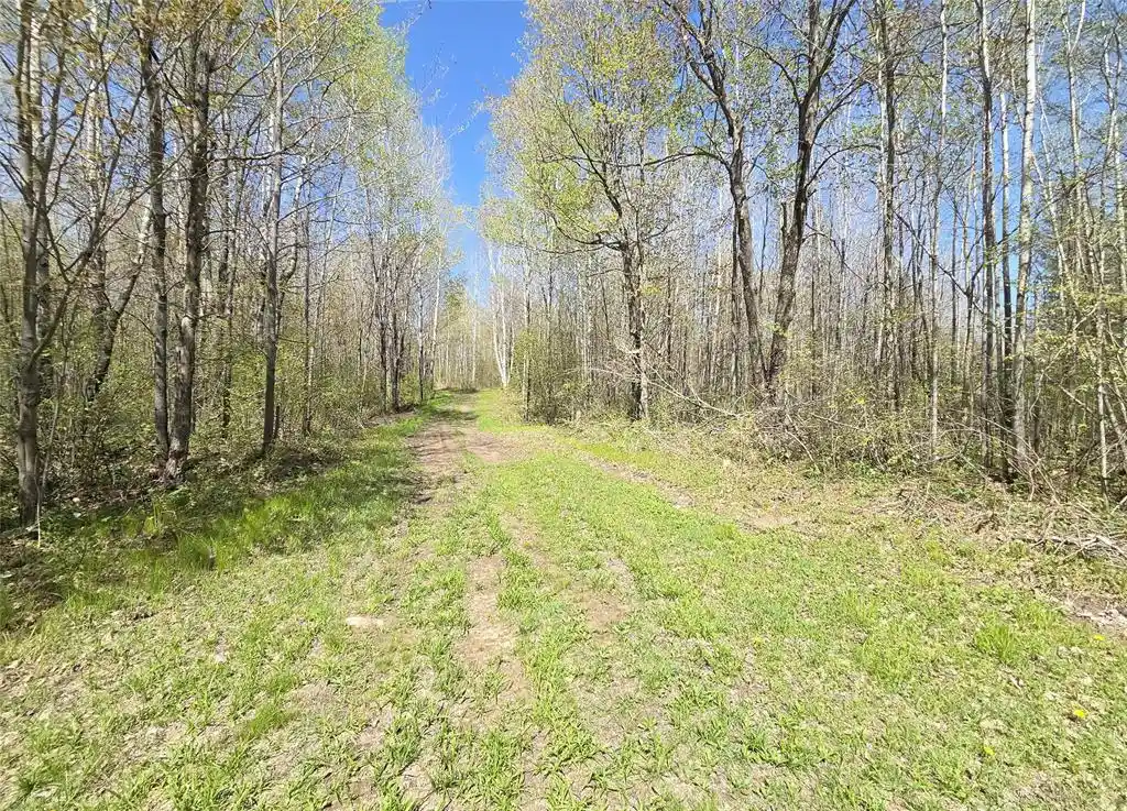 Homes for sale in Prentice, WI | Off Hay Creek Road Road, Prentice, WI 54556 | MLS# 1601325