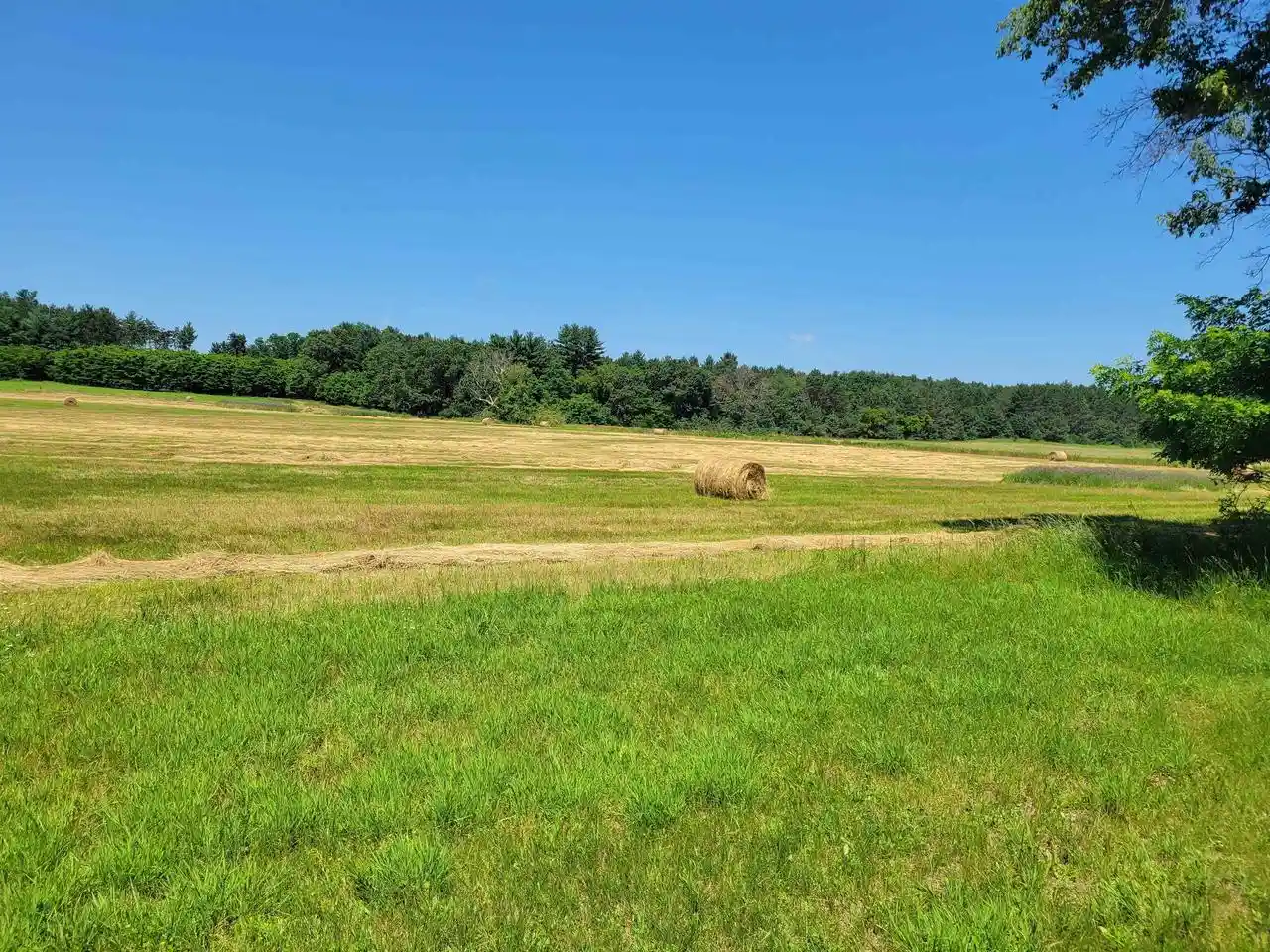 1st image of N1775 County Road K, Waupaca, WI 54981 | MLS# 22602209