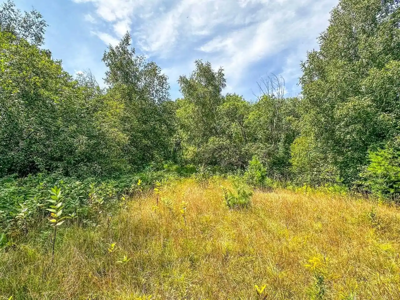 Homes for sale in Phillips, WI | 3 Acres On Darlaks Bay Road Road, Phillips, WI 54555 | MLS# 22602215