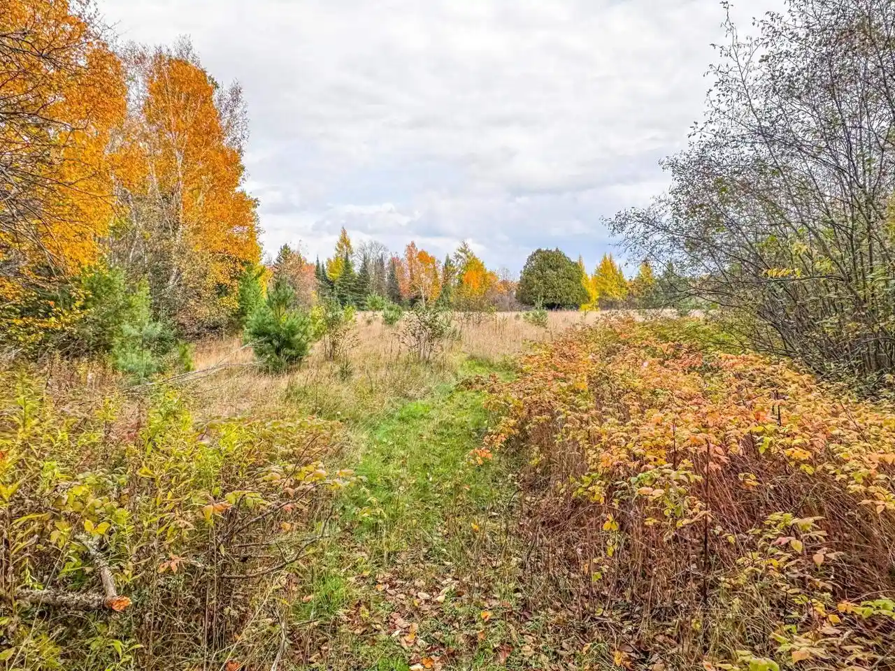 Homes for sale in Phillips, WI | 3 Acres On Darlaks Bay Road Road, Phillips, WI 54555 | MLS# 22602215