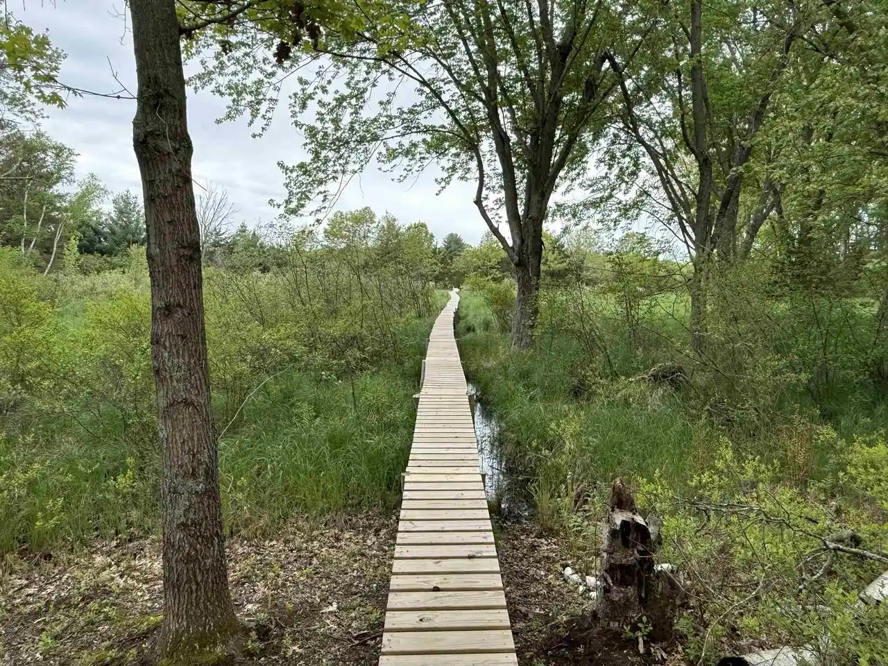 4th image of N3381 Deer Run Road Road, Montello, WI 53949 | MLS# 2023861